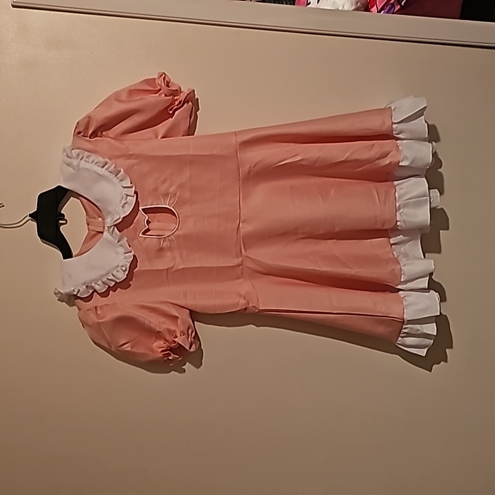 Cat theme/maid themed pink costume